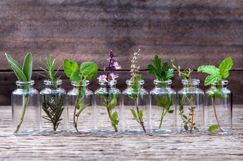 Nazbierané bylinky môžu nielen pôsobiť svojimi účinkami, ale aj ako dekorácia v sklenených pohároch